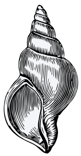 The Listenery